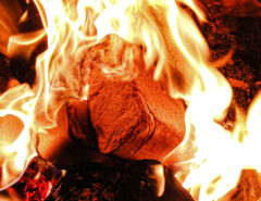 Wood briquettes burning in the stove