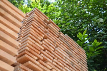 Wooden planks stacked in front of a green bush